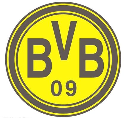 进行体能和 进行体能和